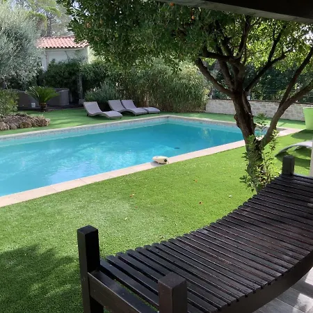 Lavish Holiday In With Private Swimming Pool